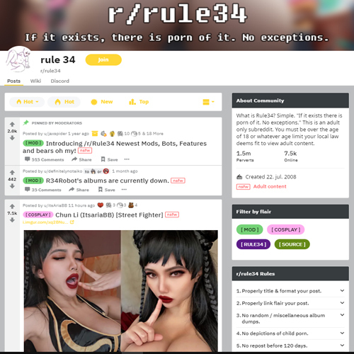 RedditRule34 Review Picture